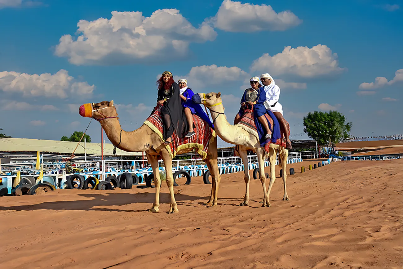 travel & Tours (36)