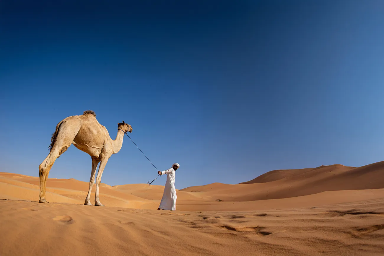 travel & Tours (2273)