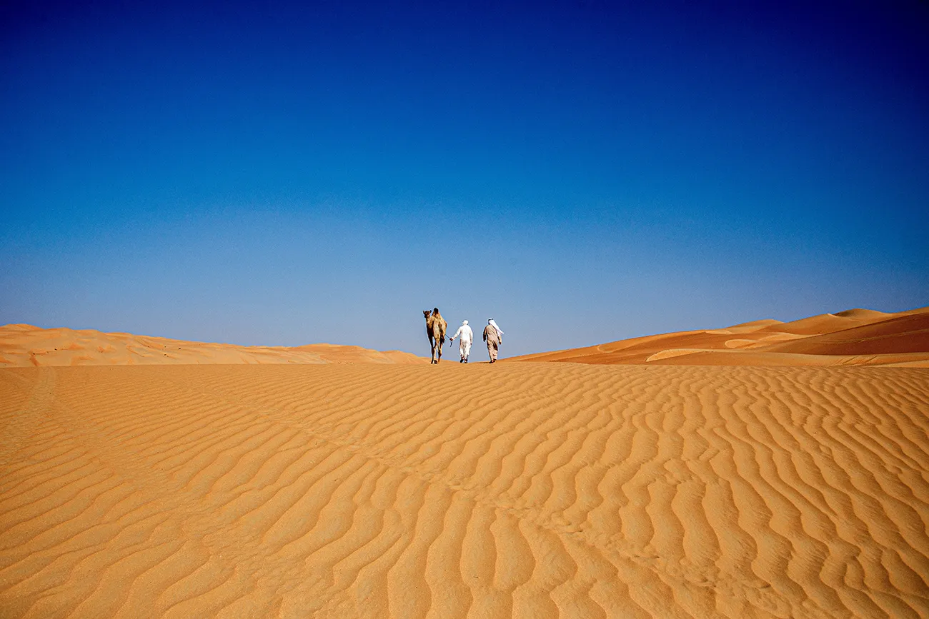 travel & Tours (2274)