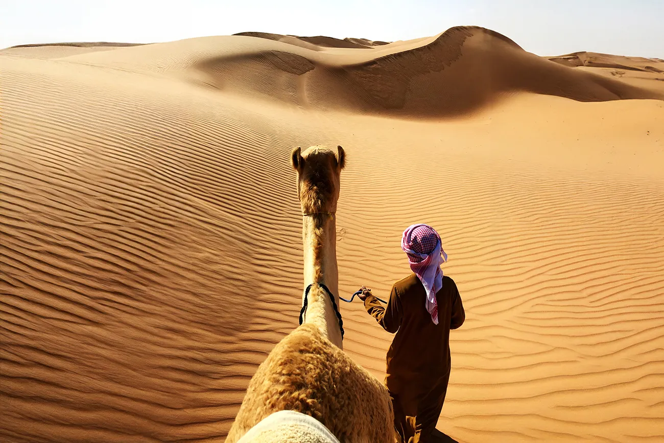travel & Tours (2478)