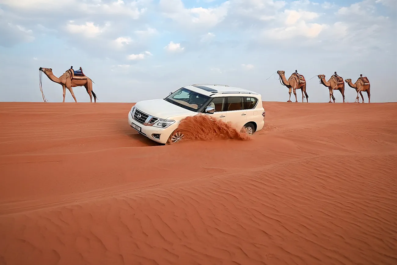 travel & Tours (2482)