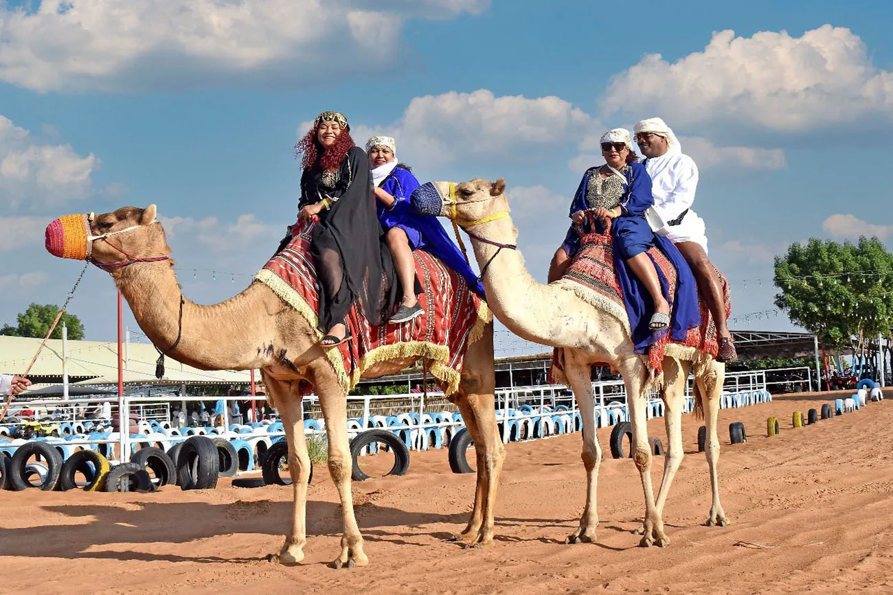 travel & Tours (2496)