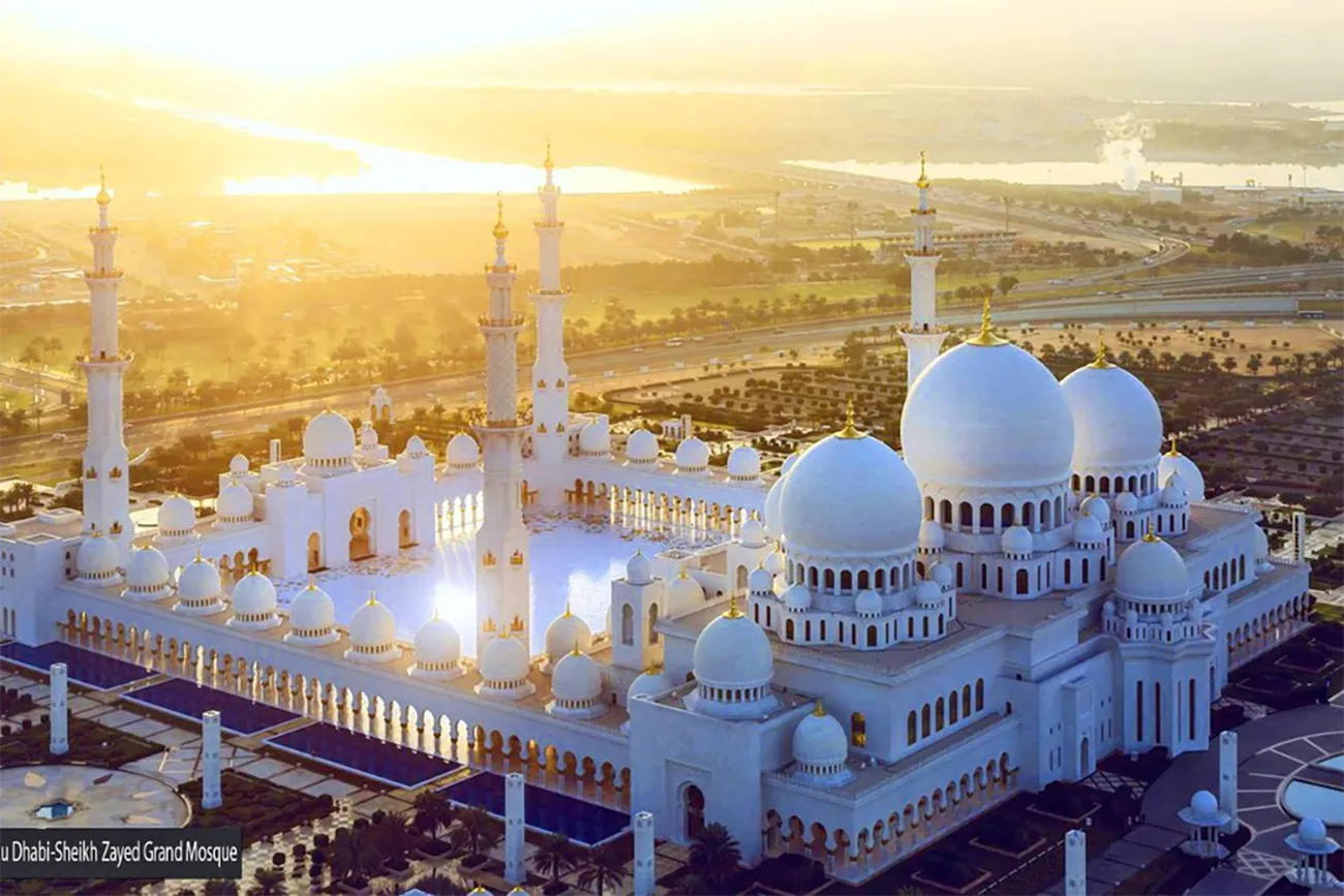 travel & Tours (14)