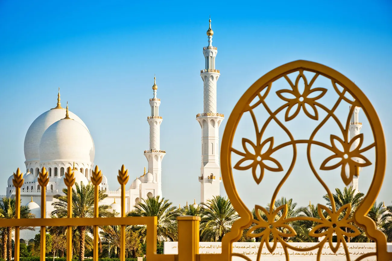 travel & Tours (785)